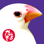 tamaki.jpg