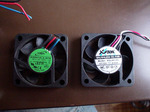 DSC07012.JPG