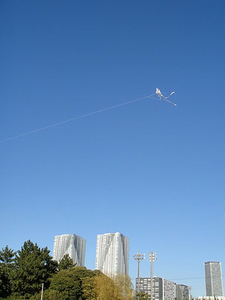 mini_DSC07207.jpg
