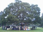 s_HI350077.jpg